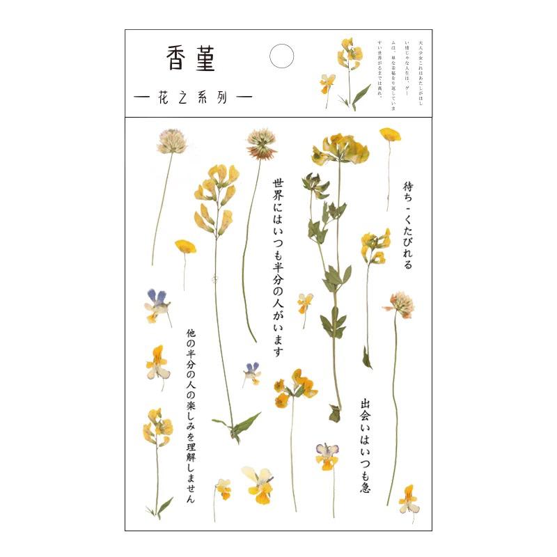 ملصقات - زهرة النوير البرية